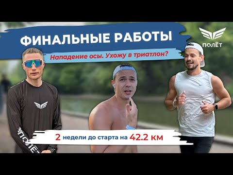 Видео: Владимир Яковенко. Ценность здоровья. Подготовка к 42 км из 3х часов - до старта 2 недели.