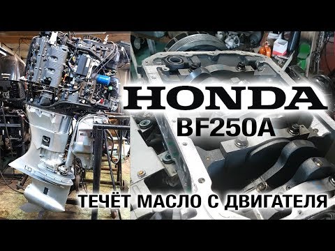 Видео: ⚙️🔩🔧HONDA BF250A. Течёт масло с двигателя