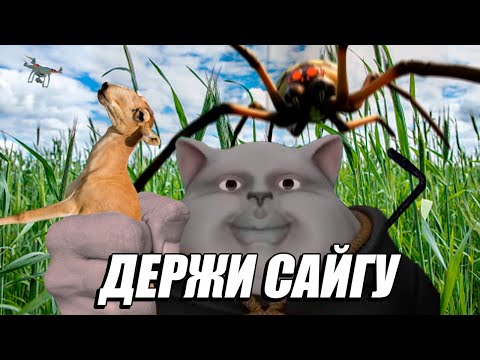 Видео: Solek Смотрит | ТАЙНЫ И ЗАГАДКИ ИНТЕРНЕТА 3 @TheBrianMaps