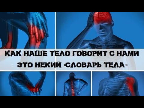 Видео: Что такое тело?