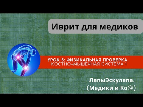 Видео: Урок 5. Медицинский иврит. Физикальная проверка. Костно-мышечная система.