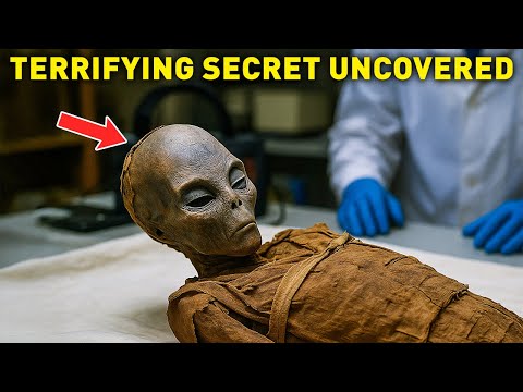 Видео: ИИ сканирует 4000-летнюю мумию. То, что он обнаружил внутри, оставило учёных безмолвными