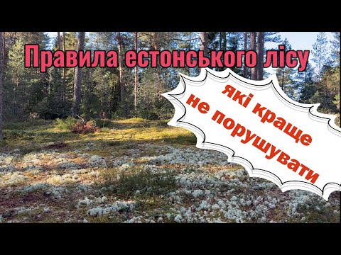 Видео: Правила естонського лісу, які краще не порушувати
