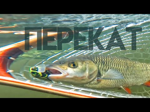 Видео: Голавль на перекате (часть 3)