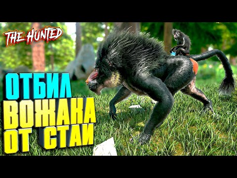 Видео: Приручил вожака динопитека #12 ARK с модом The Hunted на карте Valguero