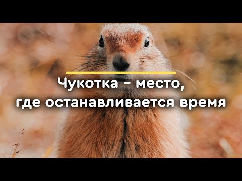 Видео: Чукотка – место, где останавливается время ⌛
