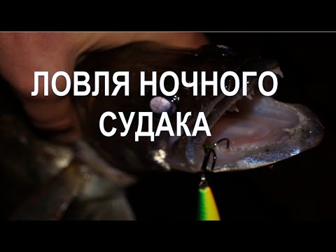 Видео: Ловля ночного судака [Судак ночью]