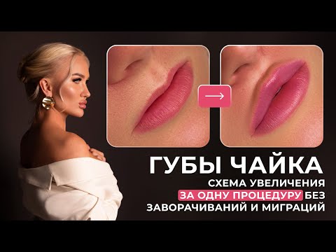 Видео: Губы чайка | Схема увеличения за одну процедуру без заворачиваний и миграций