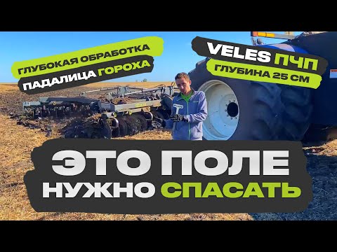 Видео: Как правильно провести глубокое разуплотнение почвы? VELES ПЧП-6 в работе по падалице гороха