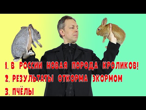 Видео: Новая порода кроликов! Результаты откорма