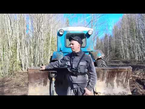 Видео: Заработок в лесу.Бонус из озера.