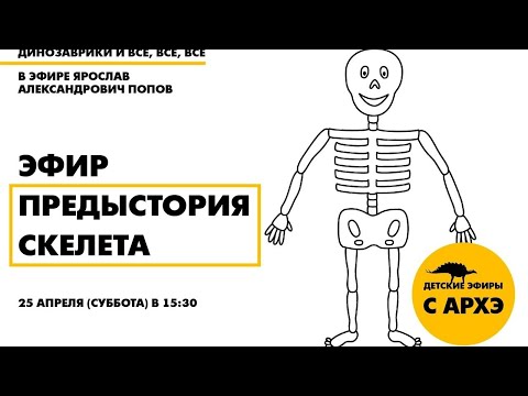 Видео: Детский эфир «Предыстория скелета» в рамках рубрики «Динозаврики и все, все, все»