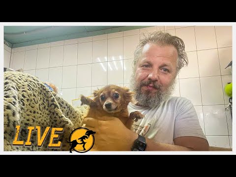 Видео: Самые свежие новости.И что же нам прислали из Москвы? 28.04.2023я трансляция