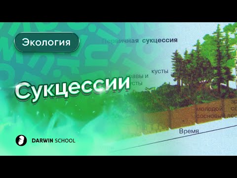 Видео: Тема №10: Сукцессии и биогеоценоз