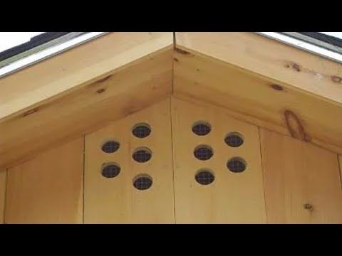 Видео: Вентиляция в курятнике без вентилятора.