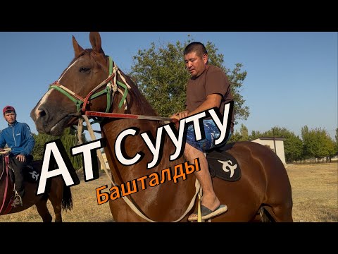 Видео: Ат кантип суутабыз 1 этап 11 сентября 2025 г.