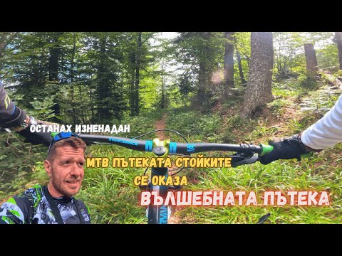 Видео: ОСТАНАХ ВДЪХНОВЕН И ИЗПЪЛНЕН СЛЕД ПРЕМИНАВАНЕТО МИ ПО ТОВА ТРЕСЕ НА ПАМПОРОВО | DAY 3 PAMPOROVO