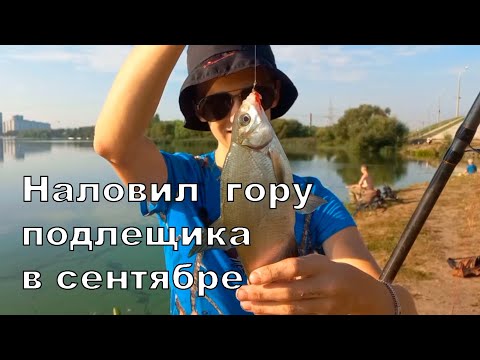 Видео: НАЛОВИЛ ГОРУ ПОДЛИЩИКА В СЕНТЯБРЕ! Рыбалка на водохранилище дрозды используя спортивный фидер!
