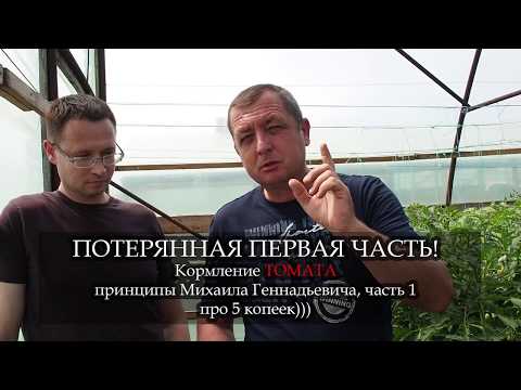 Видео: Принципы кормления от Михаила Геннадьевича. Часть №1