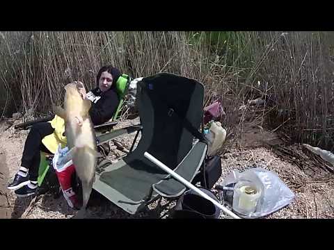 Видео: КАРАСЬ на ХАДЖИБЕЕВСКОМ лимане! nrg FISHING