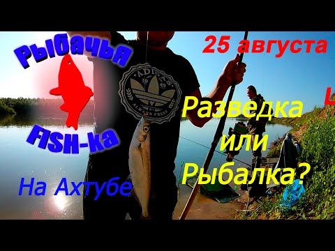 Видео: Рыбалка на Ахтубе! Разведка или Рыбалка....