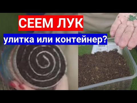 Видео: КАКОЙ ПОСЕВ ЛУКА ВЫБРАТЬ: УЛИТКА ИЛИ КОНТЕЙНЕР. КАК ЛУЧШЕ ПОСЕЯТЬ СЕМЕНА ЛУКА НА РАССАДУ.