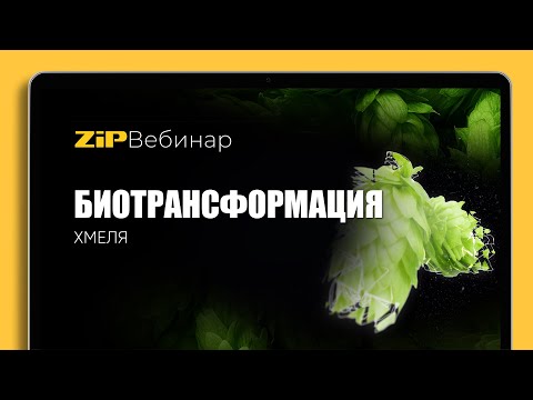 Видео: БИОТРАНСФОРМАЦИЯ ХМЕЛЯ