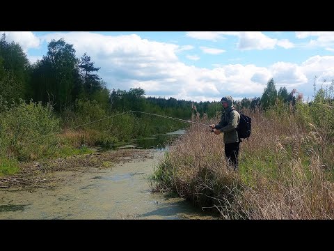 Видео: Мікрорічка, щука і бобри. Ловля щуки на ультралайт