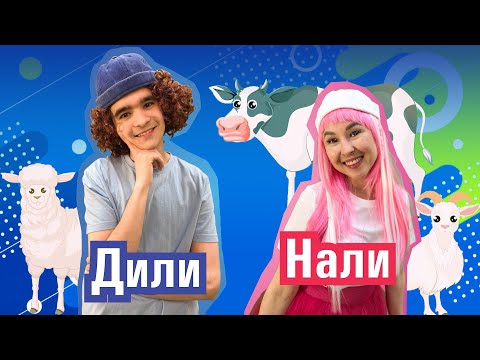 Видео: Домашние животные | ДилиНали - Развивающее видео для детей