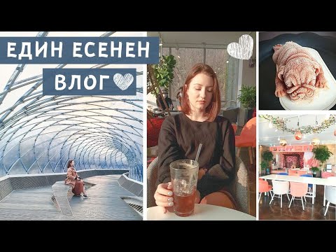 Видео: Есенен влог от Сеул: Арт Парк, Странен сладолед + малък HAUL/ Anyang Art Park in Seoul + winter HAUL