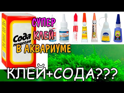 Видео: СУПЕР КЛЕЙ В АКВАРИУМЕ. СОДА + СУПЕРКЛЕЙ????? ПРОВЕРКА