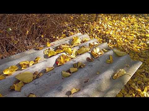 Видео: Приобрели по случаю очень важные и практически незаменимые приспособления для нашей пасеки 😁