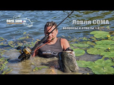 Видео: О ловле сома. Вопросы и ответы #3