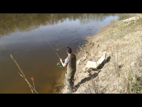 Видео: Подустовое эльдорадо, синец, сопа, густера, чехонь, карась, ШЕМАЯ