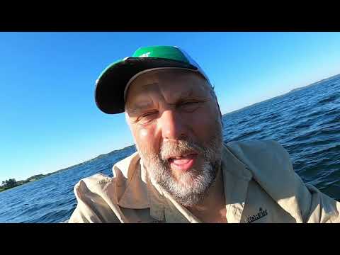 Видео: 70 кг леща на поплавок за 6 часов, это перебор даже для меня,  отчет Но117