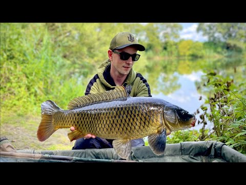 Видео: Коропи на покинутому карєрі - Рибалка на Дикарі!