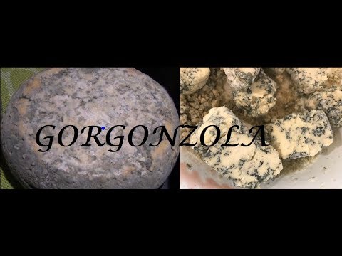 Видео: Легко приготовить голубой сыр горгонзола самостоятельно