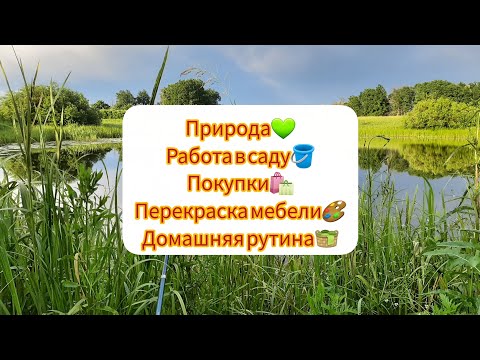 Видео: Природа💚.Подкормила цветы🌸.Обновочки🛍.Перекрасила мебель🎨.Домашние дела🧺.