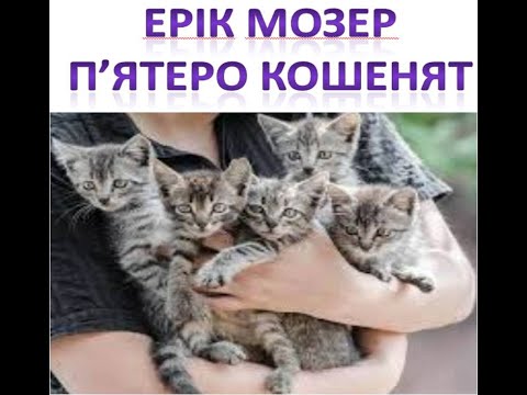 Видео: Навчання грамоти. 1 клас. Читання. Аудіювання. Текст 1. Ерік Мозер. П'ятеро кошенят.