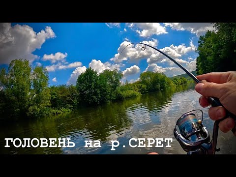 Видео: РИБАЛКА на ГОЛОВНЯ|р.СЕРЕТ