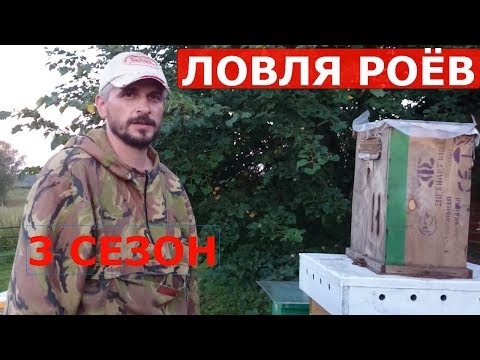 Видео: рой зашел в ловушку на пасеке/ловля роев 2017