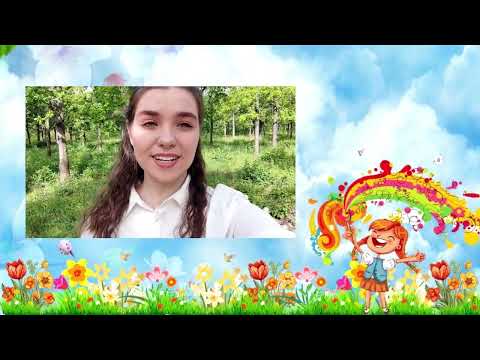 Видео: Останній дзвоник 2024