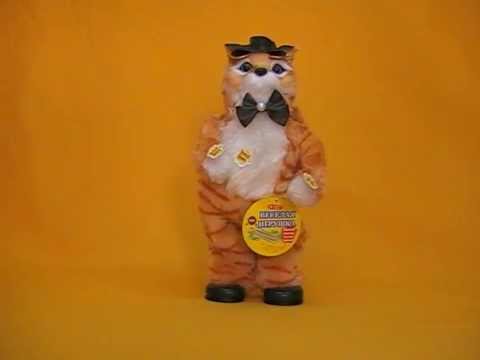 Видео: Танцующий кот, поет 6 песен