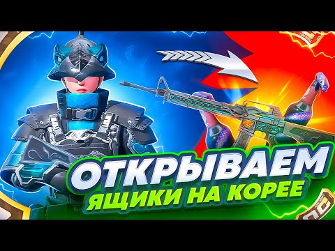 Видео: ЗА СКОЛЬКО Выбивается ПУШКА НА ПРОКАЧКУ на Корее ► PUBG mobile KR
