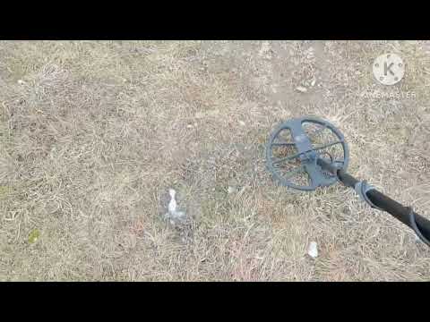 Видео: Прогулка с металлоискателем Т-90 без копа. Первые впечатления.