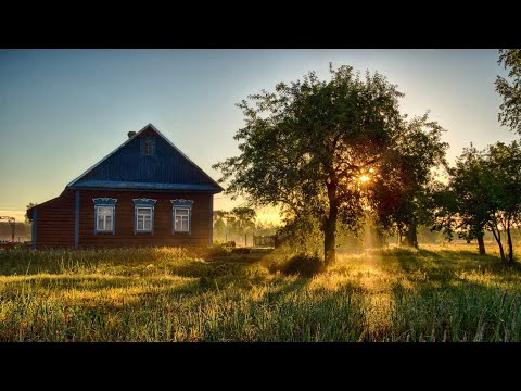 Видео: ТЫ ПОСПИ, ЖЕНА / Разбор на гармони