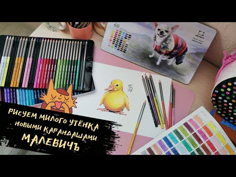 Видео: РИСУЕМ МИЛОГО УТЁНКА цветными карандашами Малевичъ Graf'Art Pro color