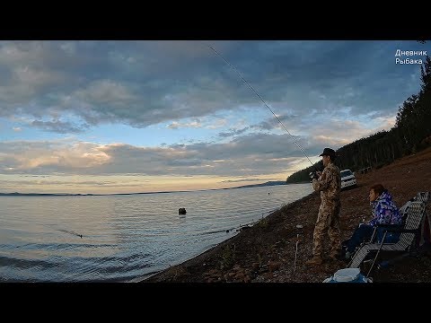 Видео: Ночная рыбалка на леща в Июле Братское водохранилище