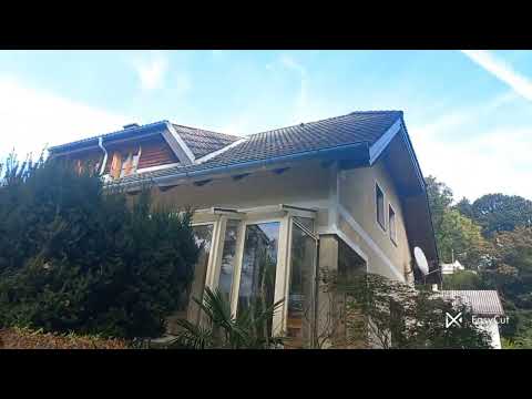 Видео: Осенний бег в Австрии! Побежали вместе!