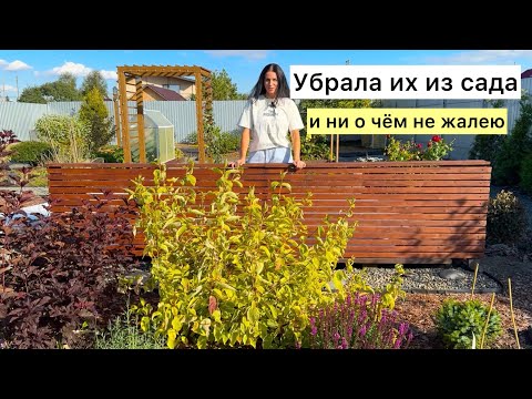 Видео: Долгожданные изменения в моём саду! Осенняя прогулка по саду!
